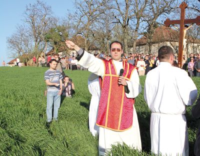 U očekivanju žetve